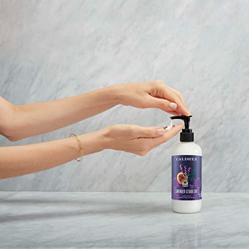 Hand Lotion | Moisturizing Formula, Lavender Cedar Leaf Scent, 10.8 oz