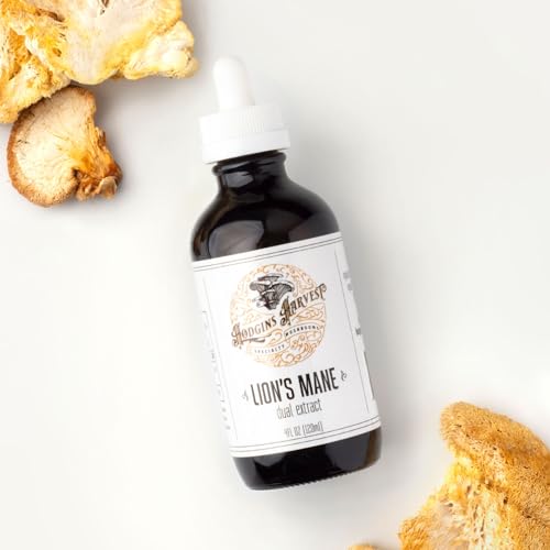 Lion's Mane Tincture | Dual Extract, Extra-Concentrated (4 fl oz)