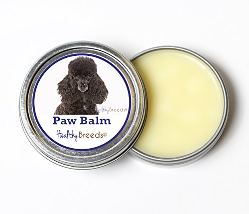 Paw Balm | Moisturizing Formula, 2 oz