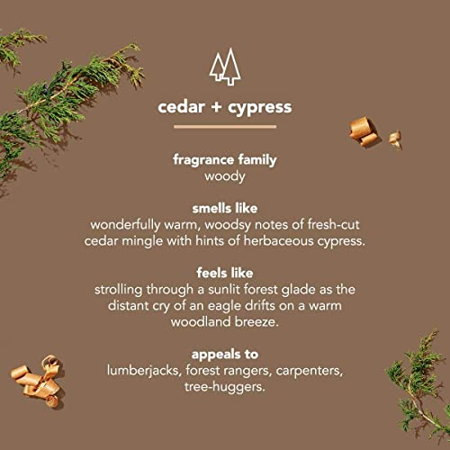 Body Wash | Cedar + Cypress, Paraben and Phthalate Free, 18 fl oz, Pack of 1