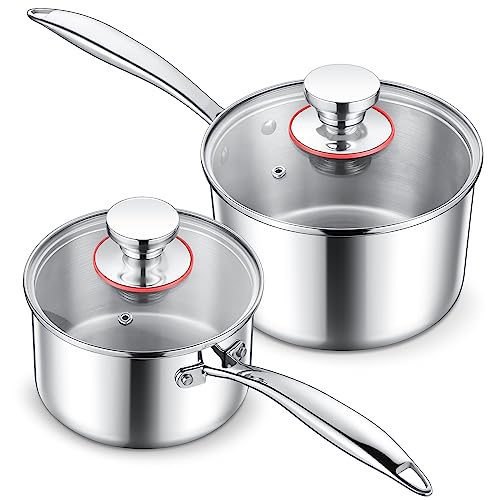 Stainless Steel Saucepan Set | 1 Qt & 2 Qt, Induction Ready, Heavy Duty