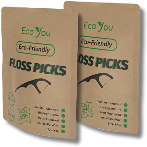 Dental Floss Picks | Biodegradable, 100 Count (2 Pack)