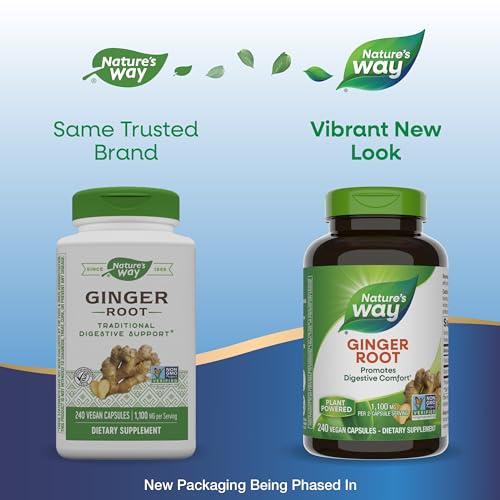 Ginger Root Capsules | Promotes Digestive Comfort, 1,100 mg Per Serving, 240 Count