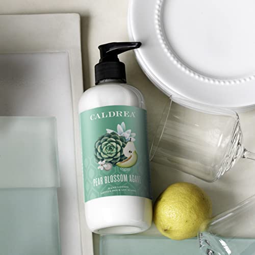 Hand Lotion | Moisturizing Formula, Shea Butter & Aloe Vera, Pear Blossom Agave Scent