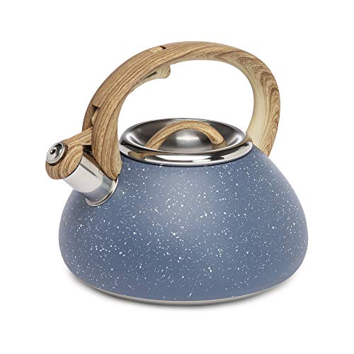 Stainless Steel Tea Kettle | Whistling, 2.5 Quarts, Trigger Spout