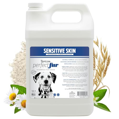 Dog Shampoo | 10:1 Concentrated Formula, 1 Gallon