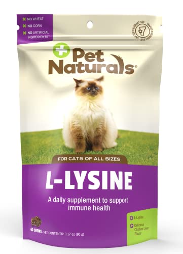 Pet Supplement | Chicken Flavor, 60 Chews, Immune & Respiratory Support