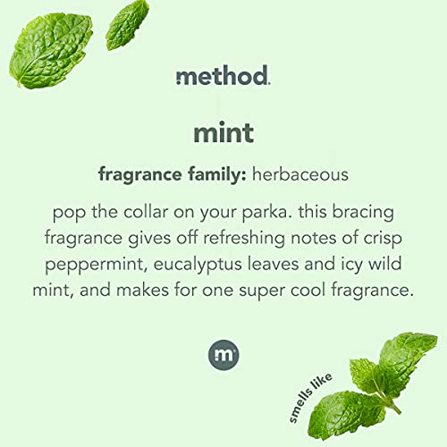 Glass Cleaner | Mint Scent, 28 Ounces