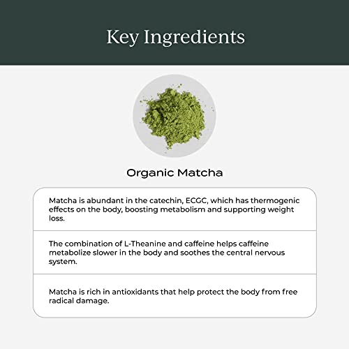 Matcha Green Tea Powder | Organic, Gluten Free, 30 Servings