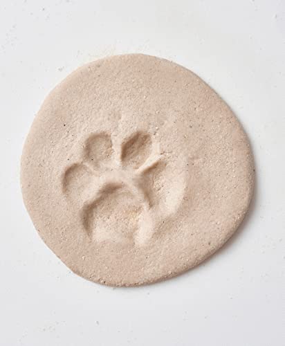 eco-kids Pawprint Making Kit - “A Dog at The Beach” Memorial Keepsake – Paw Sand Imprint Kit - includes Sand Casting Medium & Beach Shells – for Dog or Cat - DIY, Add Water & Bake - Safe & Non Toxic