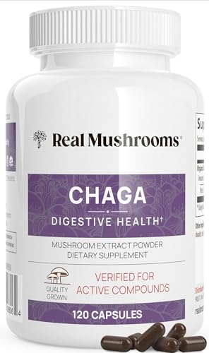 Mushroom Supplement | Organic Chaga Extract, 120 Capsules