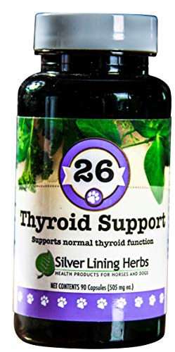 Dog Supplement | Herbal Blend for Thyroid Support, 90 Capsules