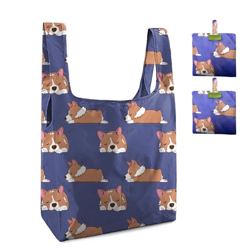 Reusable Grocery Bags | Foldable, Extra Large, 2 Pack, Durable Polyester