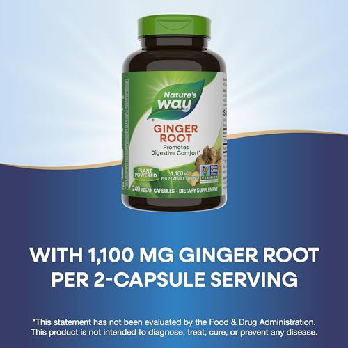 Ginger Root Capsules | Promotes Digestive Comfort, 1,100 mg Per Serving, 240 Count