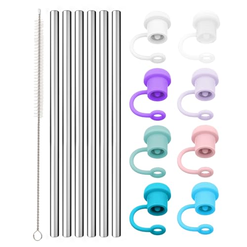 Stainless Steel Straw Set | Adjustable Cover for 30 Ounce & 40 Ounce Tumblers