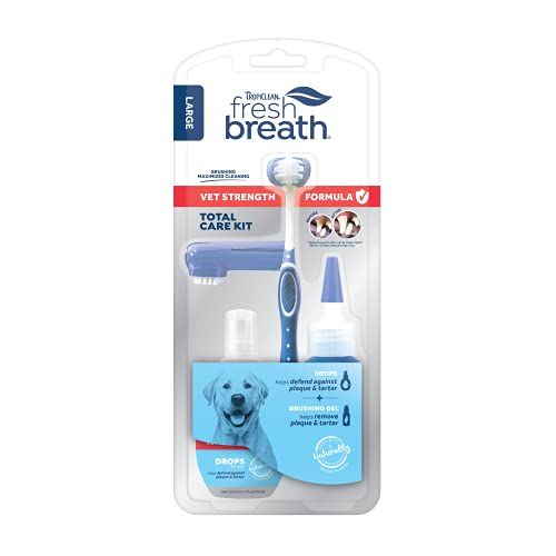 Dental Care Kit | Teeth Cleaning, Removes Plaque & Tartar, Freshens Breath