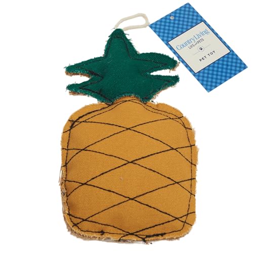 Dog Chew Toy | Pineapple-Shaped, Made with Canvas & Jute, Suitable for All Breeds