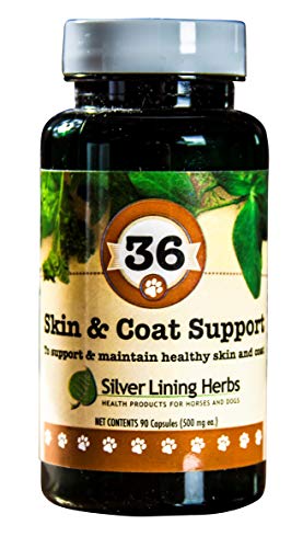 Canine Skin & Coat Support | Natural Herbal Supplement, 90 Capsules