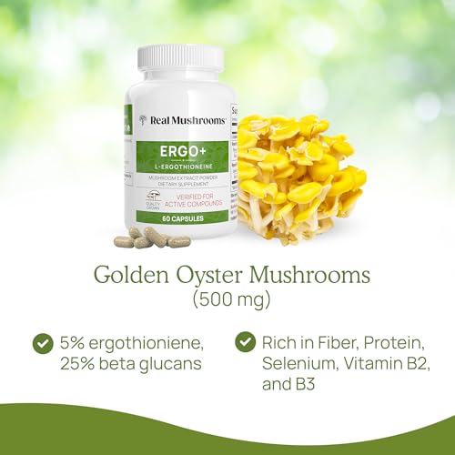 Mushroom Supplement | 60 Count, Immune Support, Brain Health