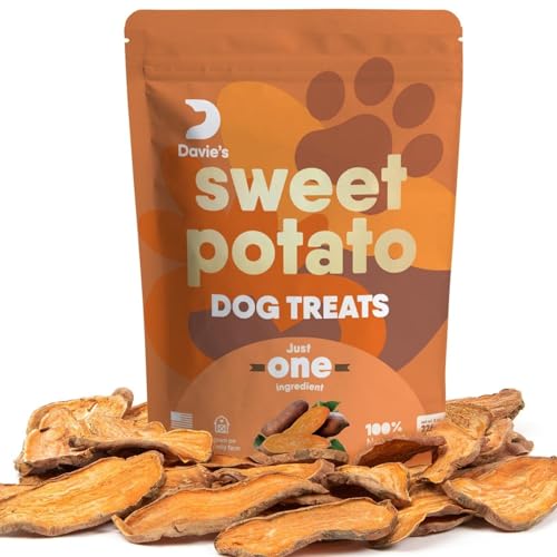 Dog Treats | Grain Free, High in Fiber, Vegan, 1 lb Bag