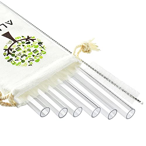 Drinking Straws | Jumbo Size, Pack of 6, Includes Cleaning Brush and Case