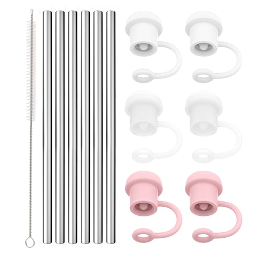 Stainless Steel Straw Set | Adjustable Cover for 30 oz & 40 oz Tumblers