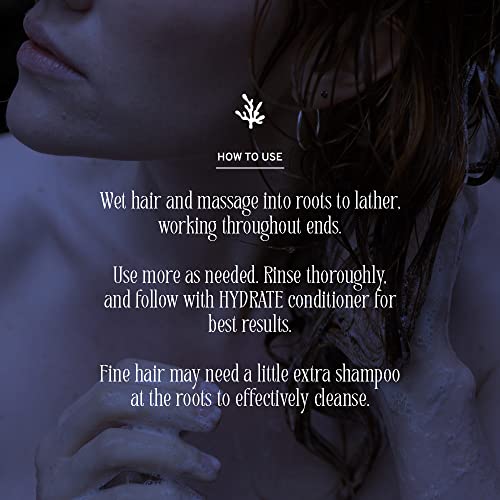 Shampoo | Fresh Citrus Scent, Sulfate Free, Organic, Vegan