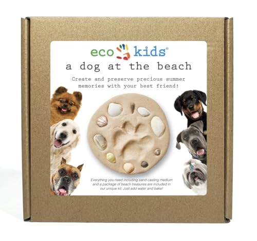 eco-kids Pawprint Making Kit - “A Dog at The Beach” Memorial Keepsake – Paw Sand Imprint Kit - includes Sand Casting Medium & Beach Shells – for Dog or Cat - DIY, Add Water & Bake - Safe & Non Toxic