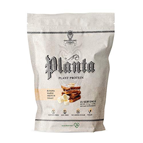 Plant-Based Protein Powder | Vegan, Keto Friendly, 25 Servings, Banana Maple Flavor