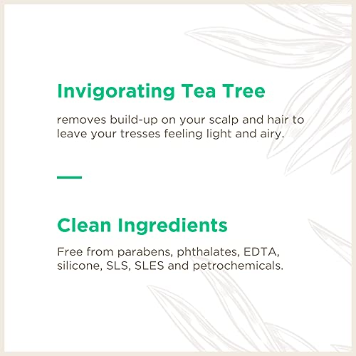 Soapbox Tea Tree Shampoo, Sulfate Free, Paraben Free, Silicone Free, Color Safe, and Vegan Hair Shampoo (33.8 Ounces)