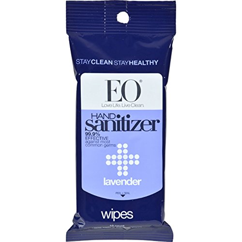 Hand Sanitizer Wipes | Pack of 6, 10 Count