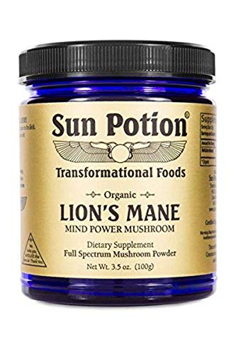 Mushroom Supplement | Organic Lion's Mane, 100g