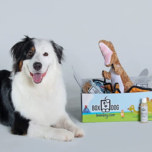 Pet Care Bundle | 4 Seasonal Boxes, Handmade Treats, Vegan Skincare, Toys & Gear