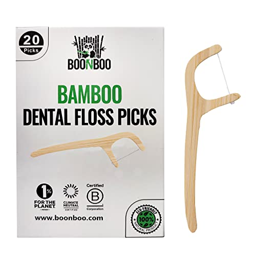 Dental Floss Picks | 20 Count Pack