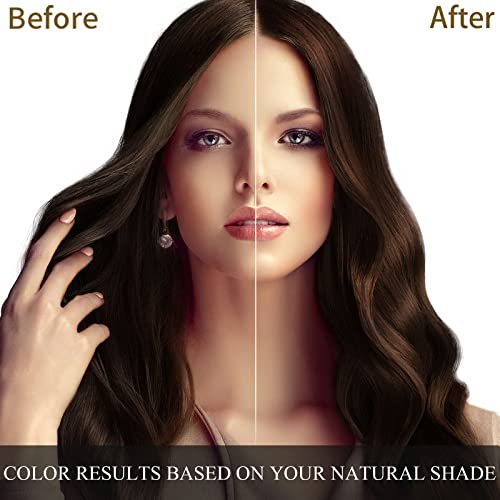 Hair Dye Shampoo | 3 in 1, Dark Brown, Herbal Ingredients, 500ml