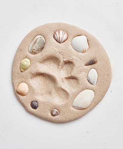 eco-kids Pawprint Making Kit - “A Dog at The Beach” Memorial Keepsake – Paw Sand Imprint Kit - includes Sand Casting Medium & Beach Shells – for Dog or Cat - DIY, Add Water & Bake - Safe & Non Toxic