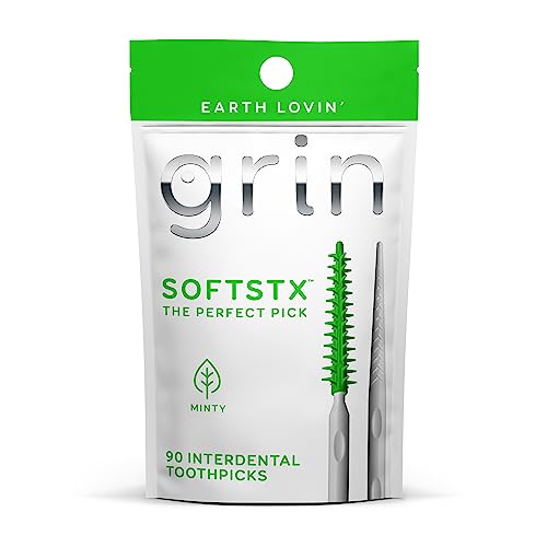 Toothpicks | 90 Count, Soft Flexible Bristles, Minty Flavor, Refillable Case