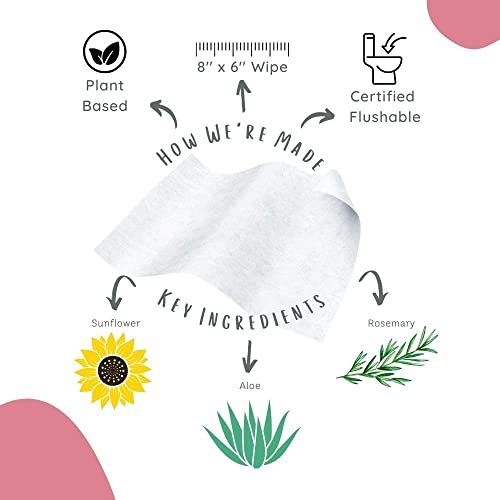 Stall Mates Wipes Feminine Fresh - Flushable Wipes | Individually Wrapped | Feminine Cleansing Wipes | Travel Friendly | PH balanced | Unscented with Sunflower, Rosemary | (30 on-the-go singles)