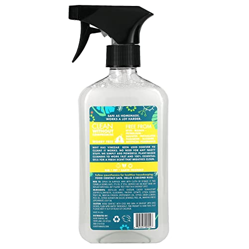 All Purpose Cleaner | Lemon Scent, 16.9 Ounces