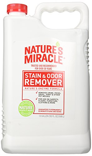 Pet Stain & Odor Remover | 1.5 Gallon, Enzymatic Formula