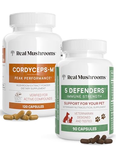 Mushroom Supplement Capsules | Performance, Energy, Endurance, Immune Support, Vegan, 120ct