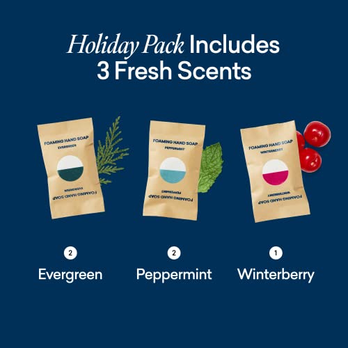 Foaming Hand Soap Tablets | Eco-Friendly, Holiday Scents, 5 Pack (Makes 45 fl oz)