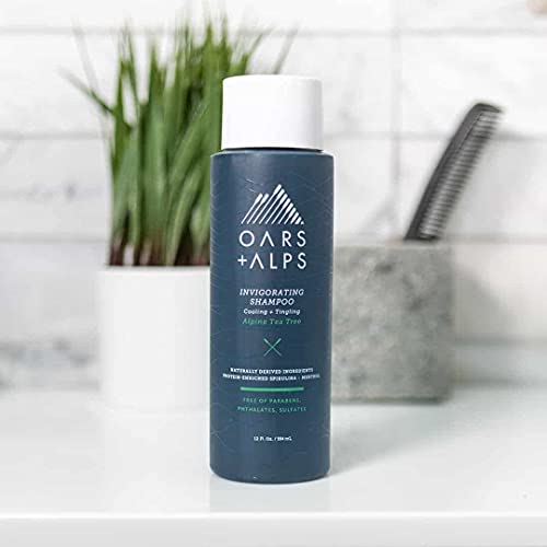 Shampoo | Sulfate Free, Infused with Witch Hazel and Tea Tree Oil, 13.5 Fl Oz