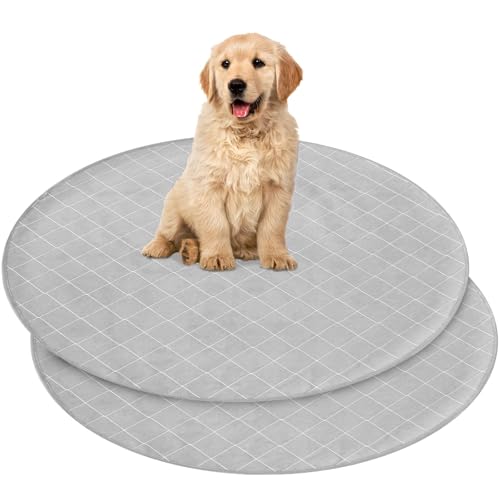 Washable Dog Pee Pads | 36", 2 Pack, Non-Slip Back, Absorbent