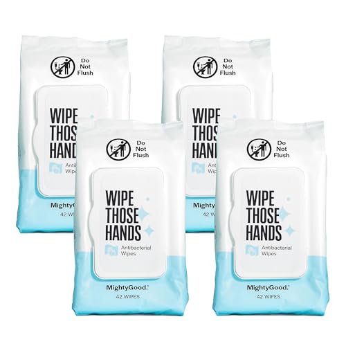 Hand Sanitizing Wipes | Alcohol-Free, 168 Count (4 Packs of 42 Wipes Each)