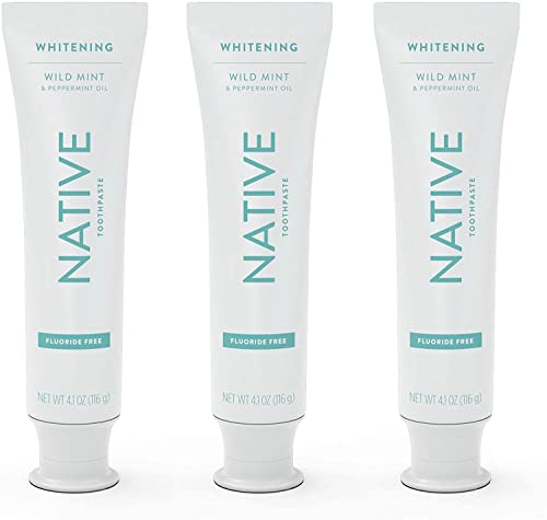 Toothpaste | Naturally-Derived Cleaners, 4.1 oz, Wild Mint, Fluoride Free, 3 Count