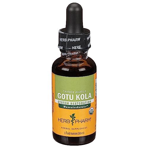 Herbal Supplement | Certified Organic Gotu Kola Extract, 1 fl oz