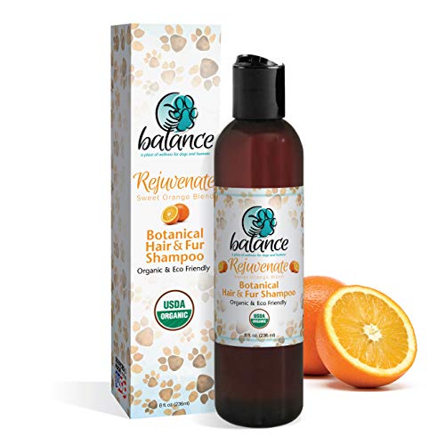 Dog Shampoo | USDA Organic, Rejuvenating Sweet Orange Citrus Blend