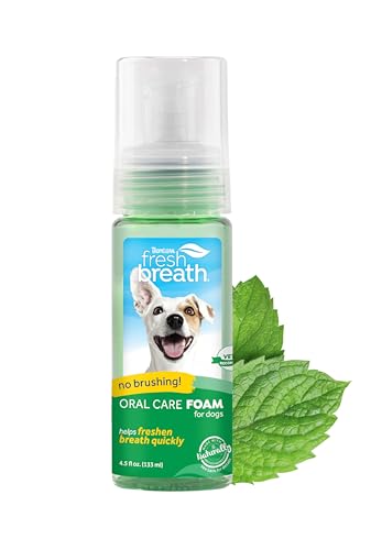 Dental Foam | Freshens Breath, 4.5 oz