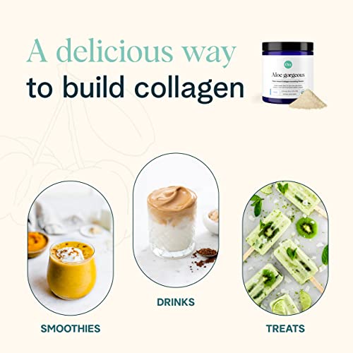 Protein Powder | Vegan Collagen Boost, 20 Servings, Vanilla Flavor